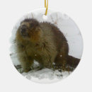 Search for beaver christmas tree decorations Rodent