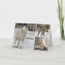 Search for wolf blank cards Nature