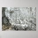 Search for amazon rainforest Native