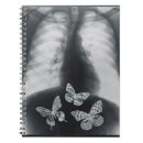 Search for composite photography Abdomen
