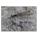 Search for damselfly Dragonfly