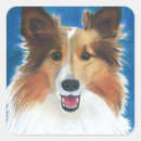 Search for shetland stickers Dog