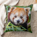 Search for red panda cushions Wild