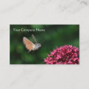 Search for hummingbird business cards Nature
