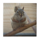 Search for squirrell tiles Nature
