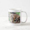 Search for tiger cats mugs Cute
