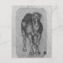 Search for album postcards 15th