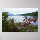 Search for red maple leaf art Nature