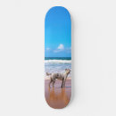 Search for lovely skateboards Pet