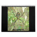 Search for spider calendars Arachnids