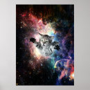 Search for cats in space posters Kitten