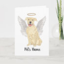 Search for pitbulls cards For pets