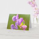 Search for fragrant cards Purple