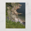 Search for nova scotia postcards Nobody