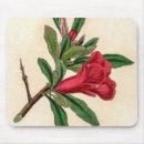 Search for vegetarians mousepads Red