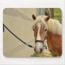 Search for make a horse electronics Brown