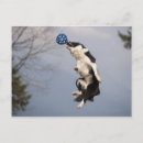 Search for length postcards Sky