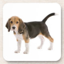 Search for adopt barware Cute
