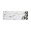 Search for birch bark return address labels Tree