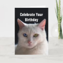Search for turkish birthday cards Kitty