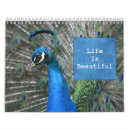 Search for peacock calendars Feathers