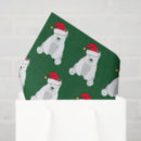 Search for bear tissue paper Green