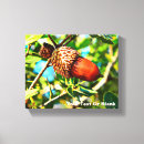 Search for acorns art Nature