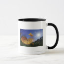 Search for butterfly wings mugs Wildlife