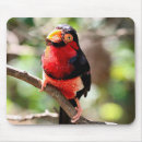 Search for beards mousepads Animals