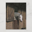 Search for stables postcards Pony