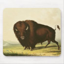 Search for georges mousepads 19th