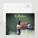 Search for reflective postcards Animal