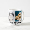 Search for bernedoodle mugs I love my bernedoodle