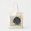 Search for guinea pig tote bags Rodent