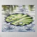 Search for lilypad posters Water