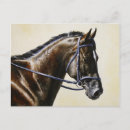 Search for horse sports postcards Equine