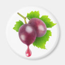 Search for drop magnets Purple