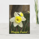 Search for daffodil easter cards Green