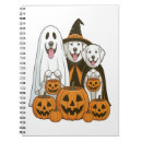 Search for halloween witch notebooks Animal