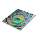 Search for peacock feather tiles Bird