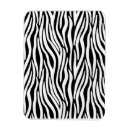 Search for zebra pattern magnets Jungle