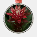 Search for red flower christmas tree decorations Nature