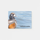Search for duck post it notes Waterfowl