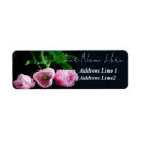 Search for pink tulip flowers return address labels Tulips