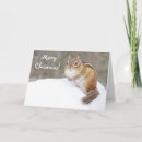 Search for chipmunk christmas cards Winter