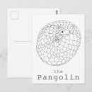 Search for rolled postcards Drawing