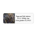 Search for spike return address labels Cactus