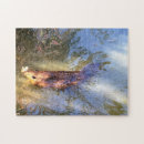 Search for beaver puzzles Water