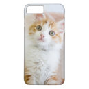 Search for adopt a pet iphone cases Cat