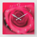 Search for rose wall Time